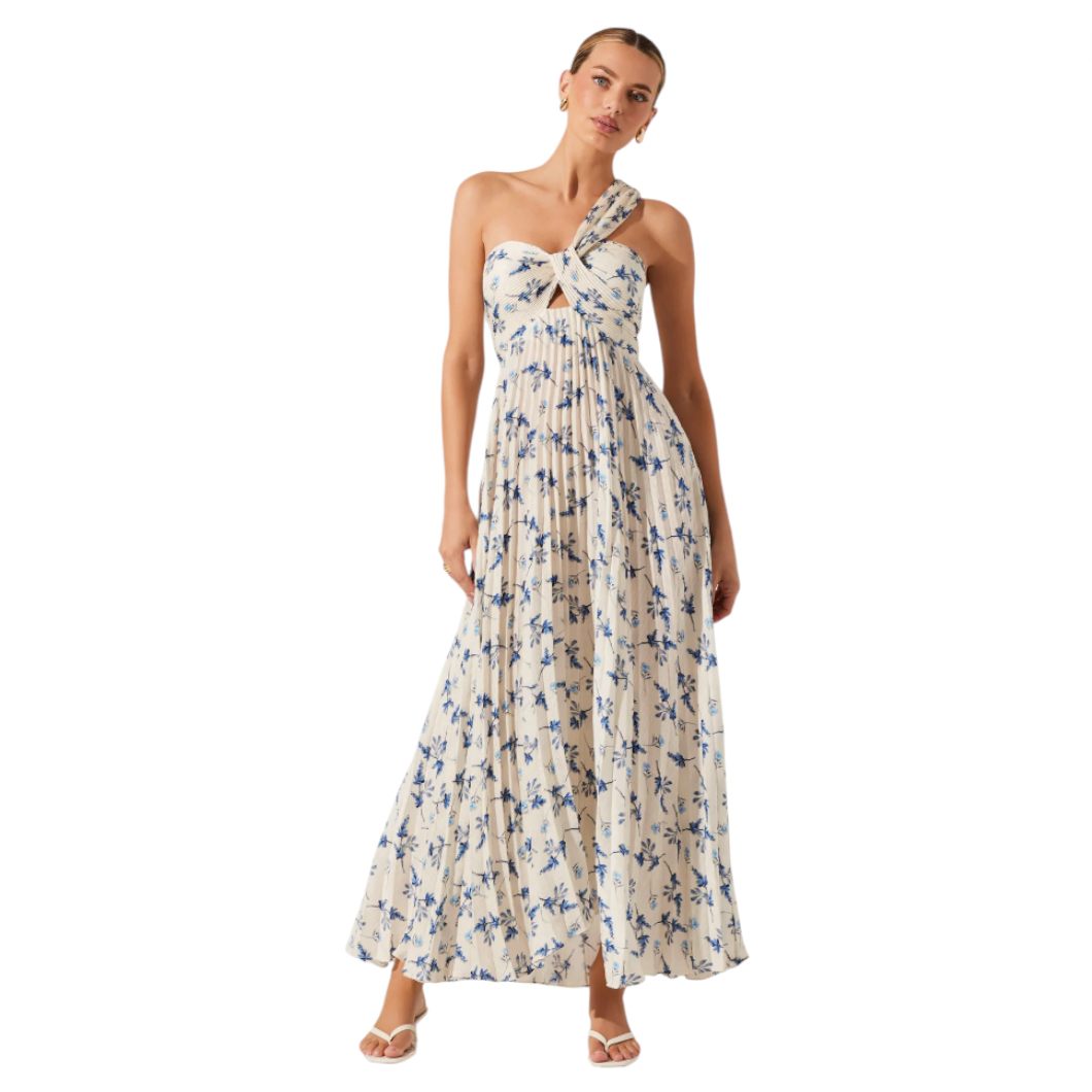 ASTR - Raysa Pleated Floral Maxi Dress - White / Blue