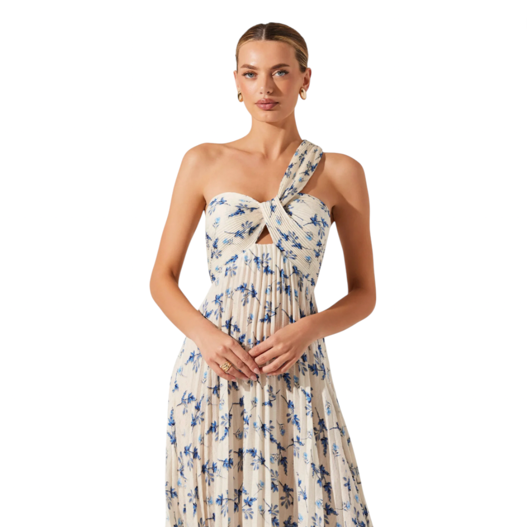 ASTR - Raysa Pleated Floral Maxi Dress - White / Blue