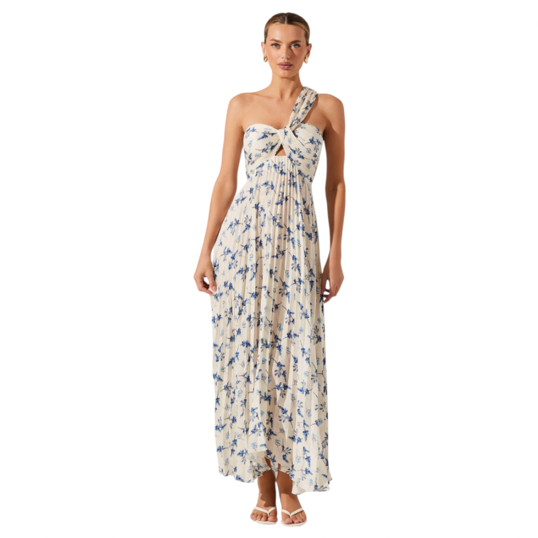 ASTR - Raysa Pleated Floral Maxi Dress - White / Blue