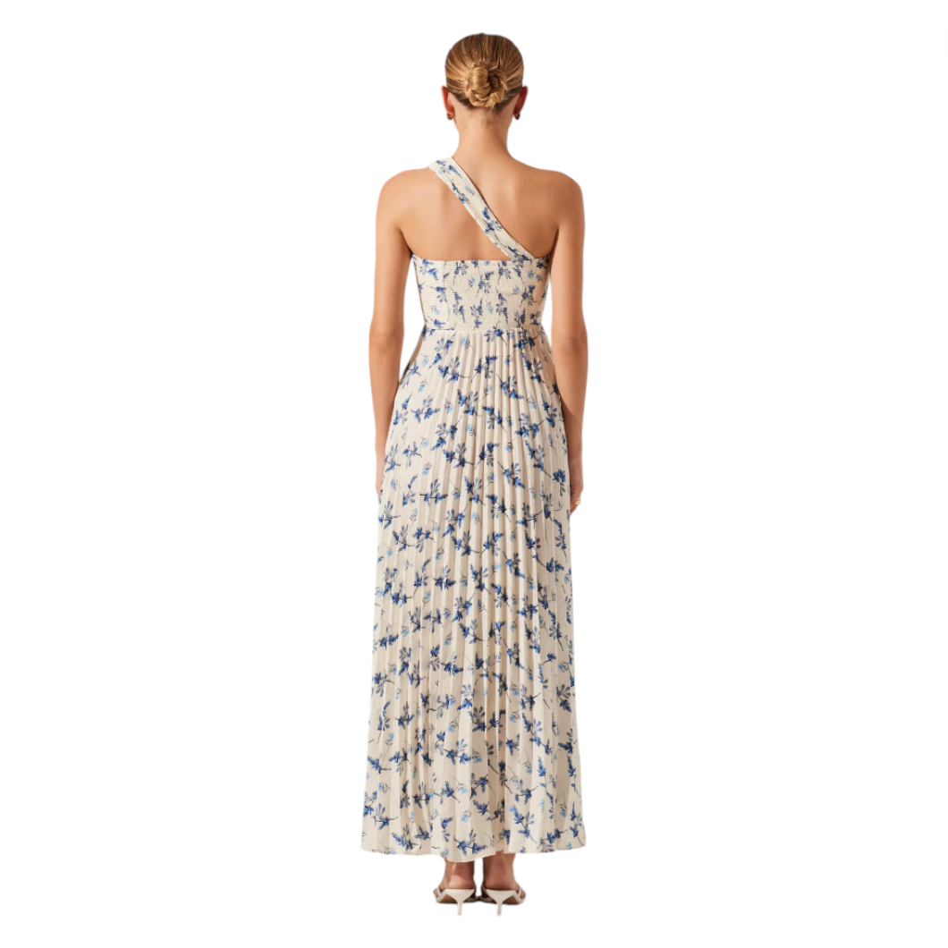ASTR - Raysa Pleated Floral Maxi Dress - White / Blue