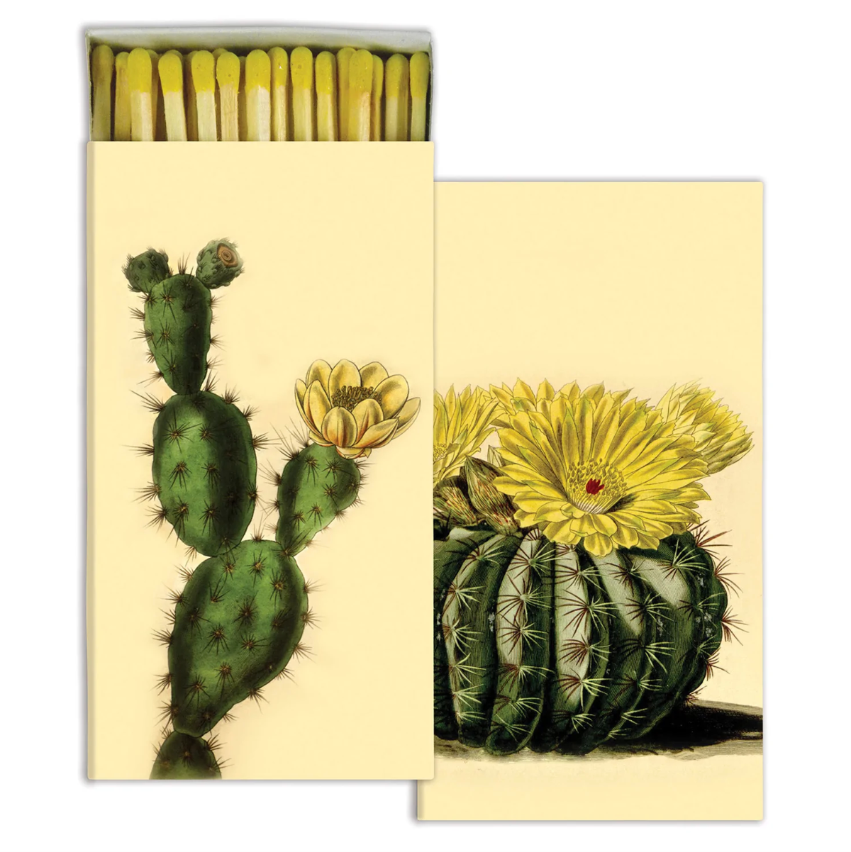HomArt - Matches - Cacti