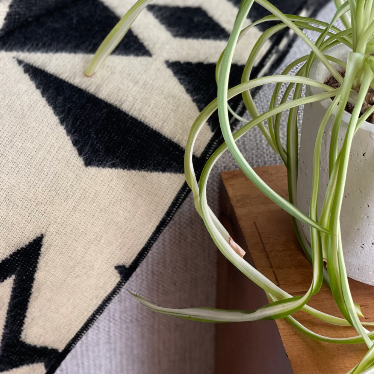 Beyond Borders Collective - Awa Throw Blanket - Natural / Black