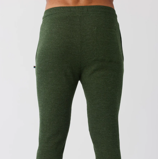 Sol Angeles - Thermal Jogger - Cypress