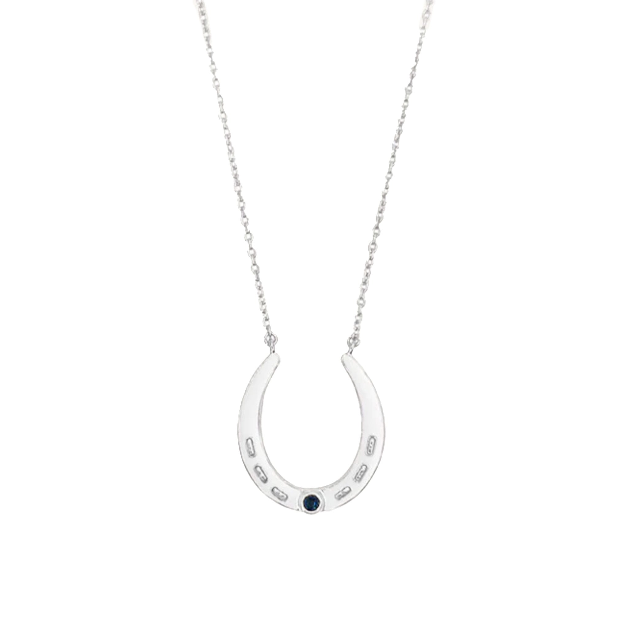 Sierra Winter - Oakley Necklace - Silver